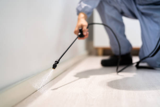 Licensed Wasp Removal service in Citronelle, AL - Show Me Pest Control