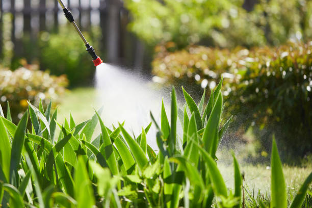 24/7 Emergency Wasp Removal experts in Citronelle, AL