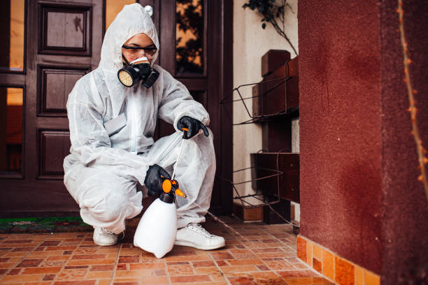Reliable Wasp Removal contractor in Citronelle, AL by Show Me Pest Control