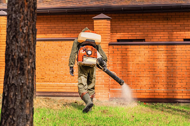 Top rated local Wasp Removal specialists in Citronelle, AL